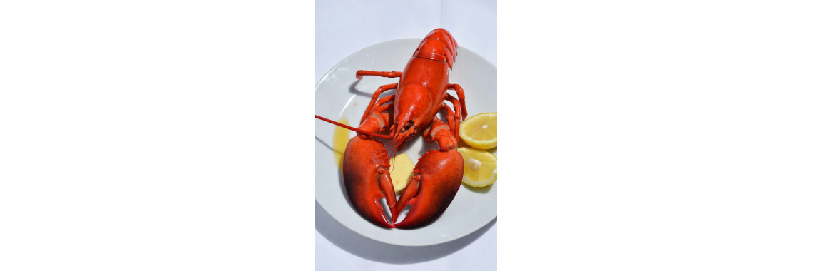 How to Cook Your Fresh Ottawa Lobsters
