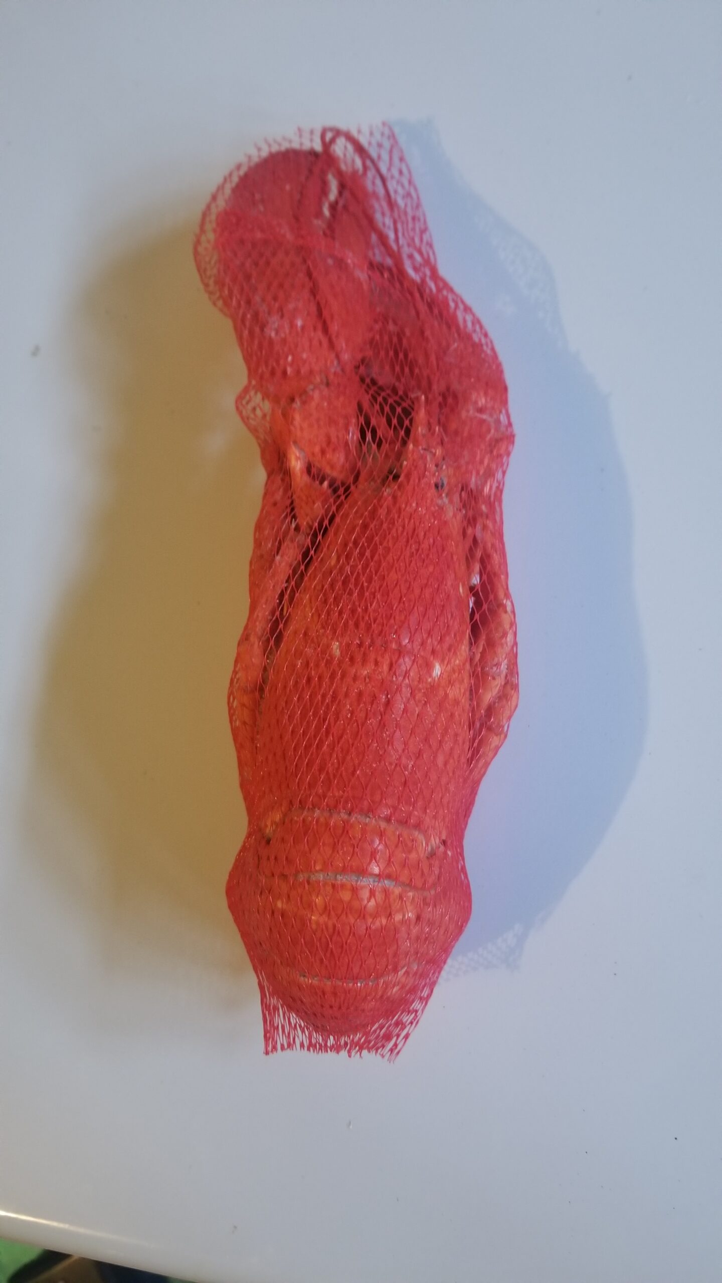 Frozen-whole-cooked-lobster